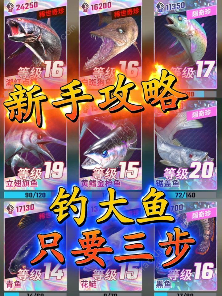 欢乐钓鱼大师终极大鱼钓取指南