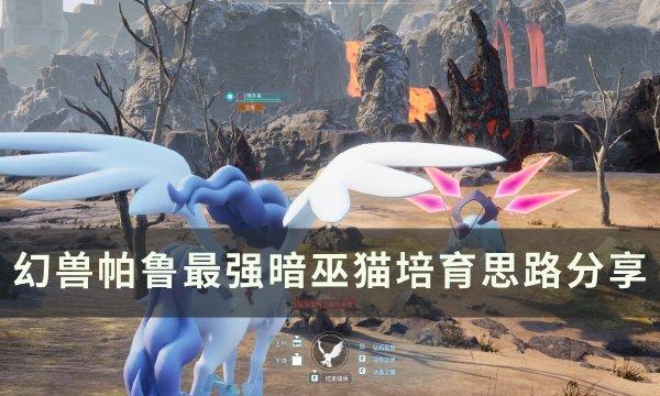 如何培养幻兽帕鲁最强大的暗巫猫