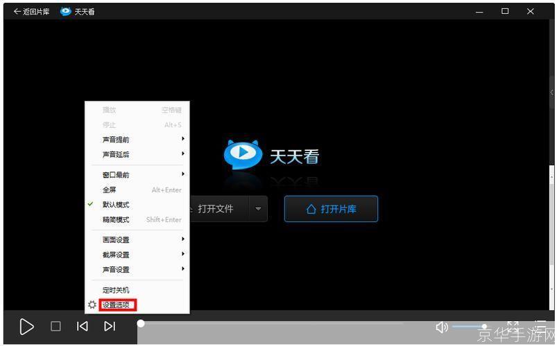 天天看播放器操作指南：全面使用技巧解析