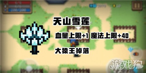 元气骑士天山雪莲实用指南