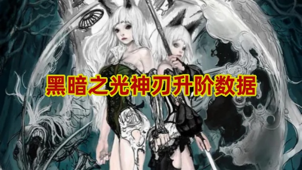 提升黑暗之光神刃等级攻略揭秘
