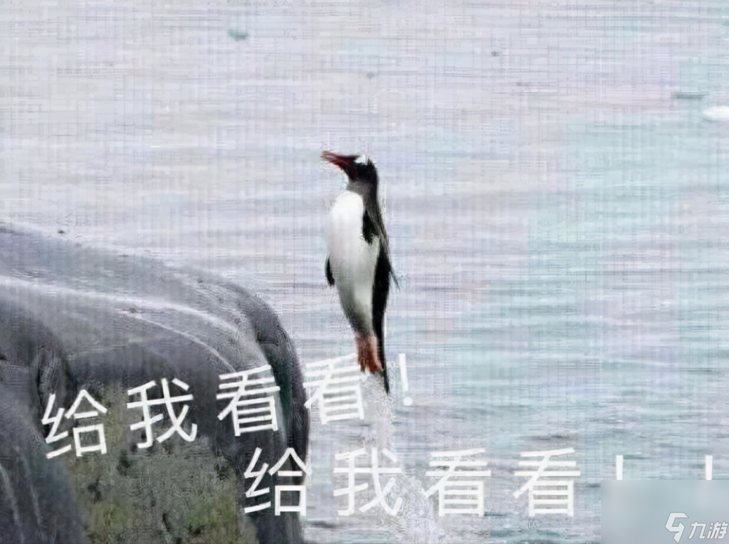 寻找美人图任务的最佳平台攻略