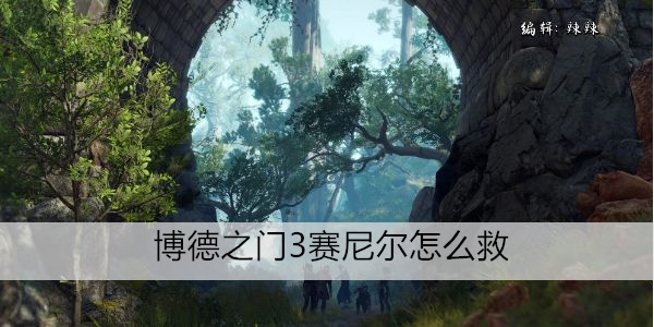 博德之门 3 赛尼尔的拯救攻略