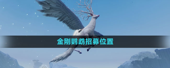 《探寻山海奇遇：金刚鹦鹉招募启事》